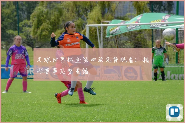 足球世界杯全场回放免费观看：精彩赛事完整重播